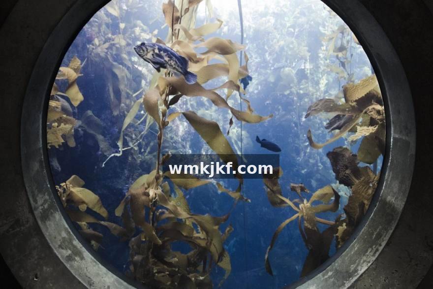火狐电竞客户端多端使用场景展示